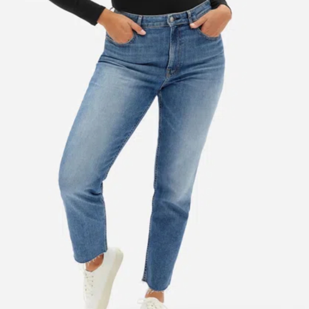 Everlane The Checky Raw Cut Hem High Rise Low stretch Jeans
